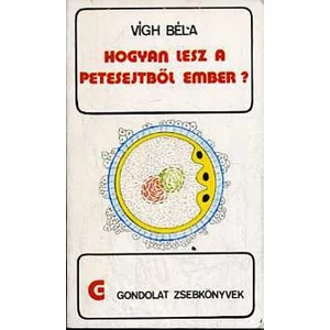 Hogyan lesz a petesejtből ember 