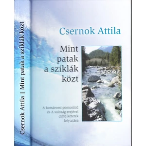 Mint patak a sziklák közt  Dedikált