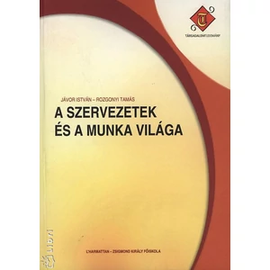A szervezetek és a munka világa 