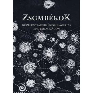 Zsombékok. Középosztályok és iskoláztatás Magyarországon 