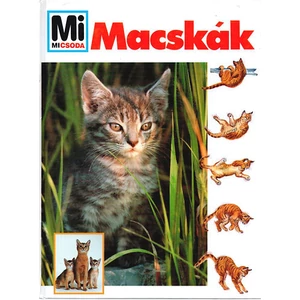 Macskák Mi micsoda 14.
