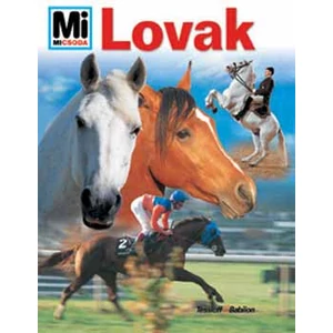 Lovak - Mi micsoda 37. 