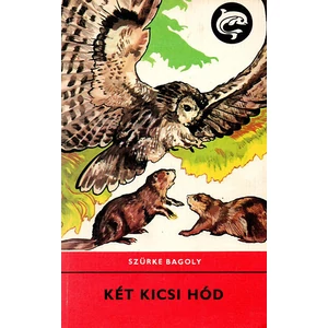 Két kicsi hód (Delfin könyvek)