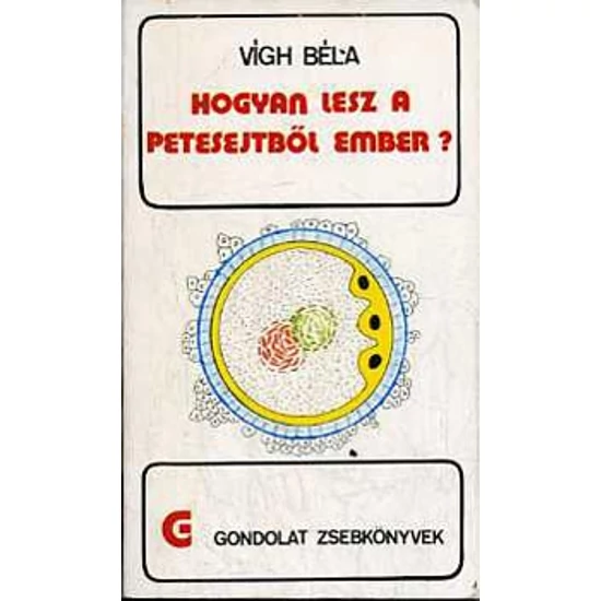 Hogyan lesz a petesejtből ember 