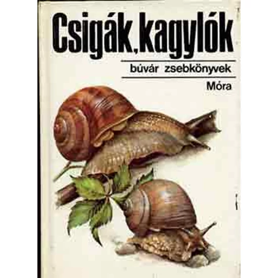 Csigák, kagylók (búvár zsebkönyvek)