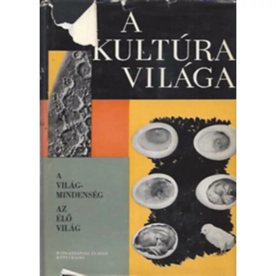 A kultúra világa - A Világmindenség - az élő világ 