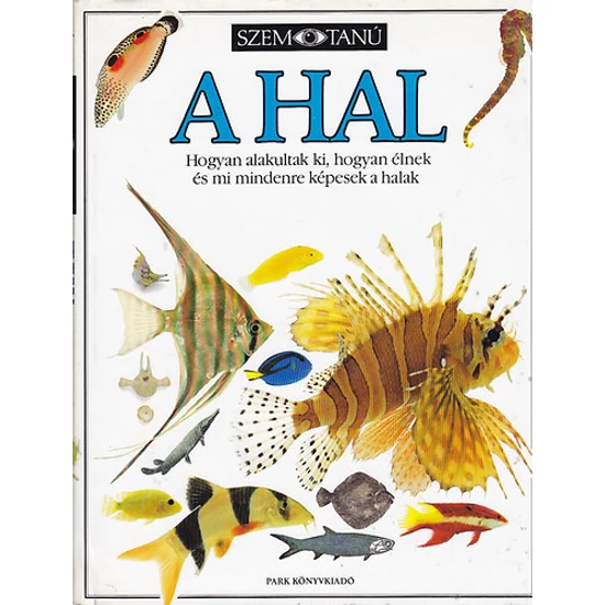 A Hal (szemtanú) 